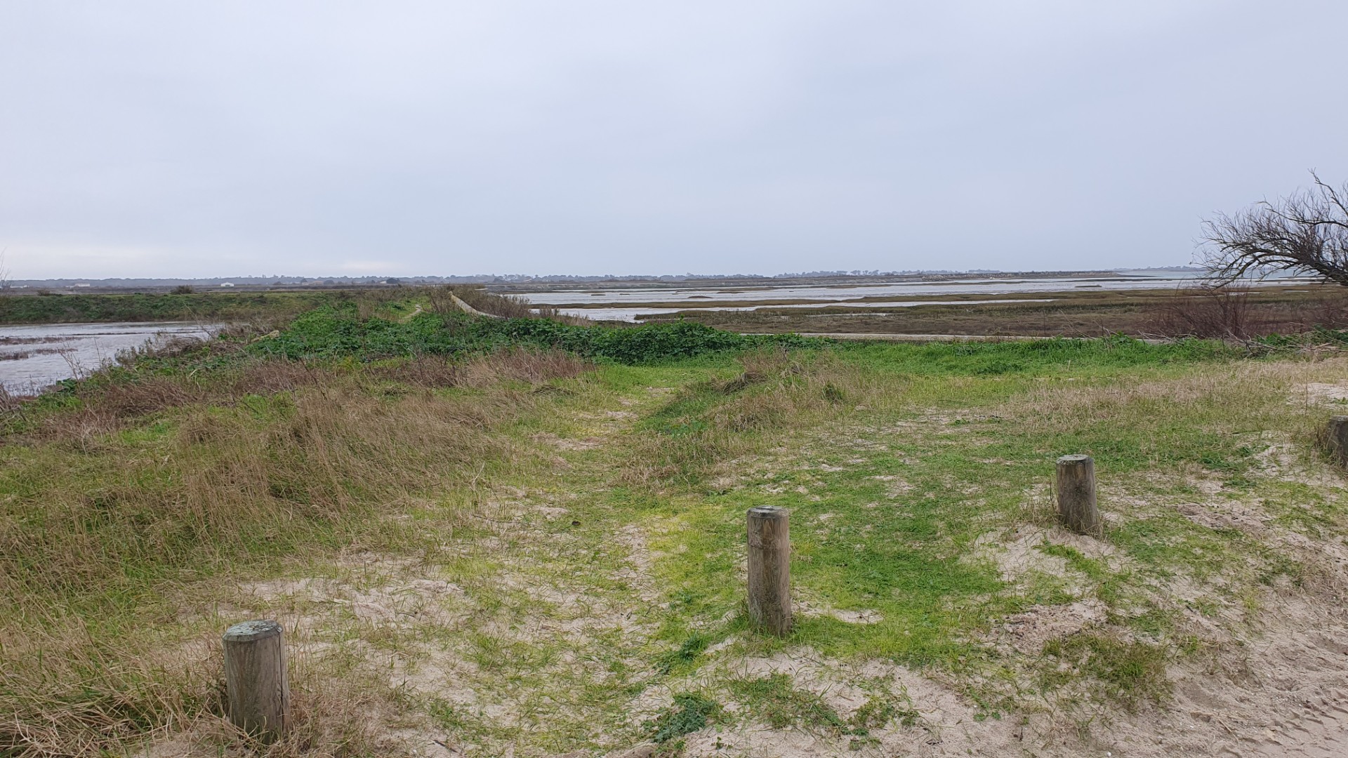 À la découverte de la Pointe de Loix – CdC Île de Ré